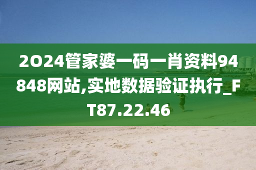 2O24管家婆一码一肖资料94848网站,实地数据验证执行_FT87.22.46