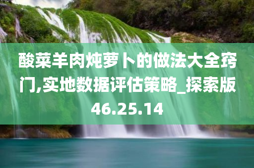 酸菜羊肉炖萝卜的做法大全窍门,实地数据评估策略_探索版46.25.14