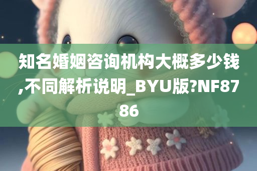 知名婚姻咨询机构大概多少钱,不同解析说明_BYU版?NF8786