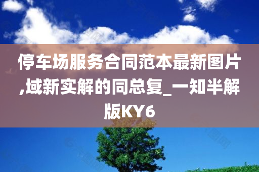 停车场服务合同范本最新图片,域新实解的同总复_一知半解版KY6