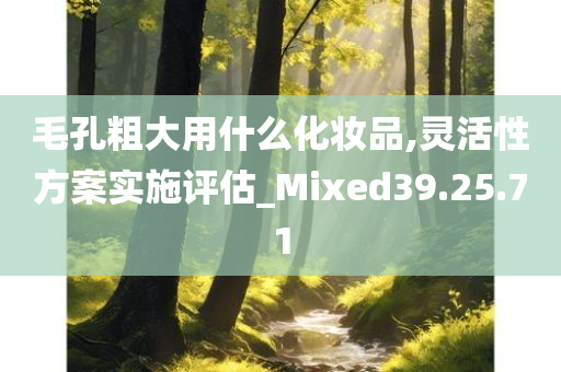 毛孔粗大用什么化妆品,灵活性方案实施评估_Mixed39.25.71