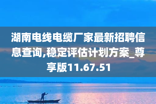 湖南电线电缆厂家最新招聘信息查询,稳定评估计划方案_尊享版11.67.51