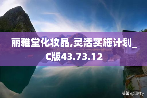 丽雅堂化妆品,灵活实施计划_C版43.73.12