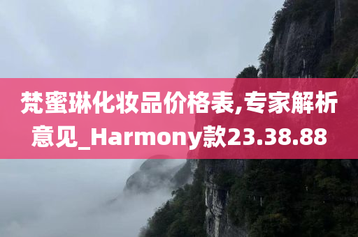 梵蜜琳化妆品价格表,专家解析意见_Harmony款23.38.88