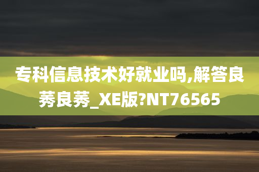 专科信息技术好就业吗,解答良莠良莠_XE版?NT76565