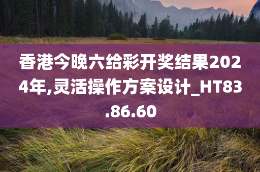 香港今晚六给彩开奖结果2024年,灵活操作方案设计_HT83.86.60