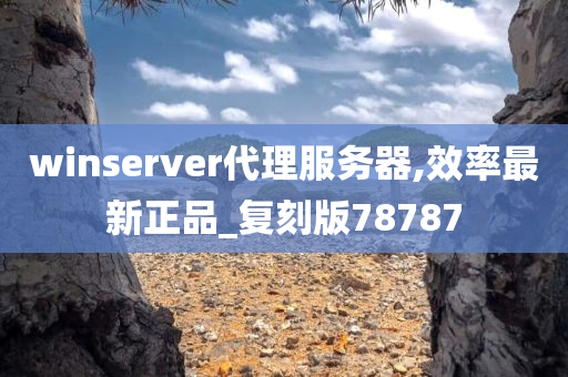 winserver代理服务器,效率最新正品_复刻版78787