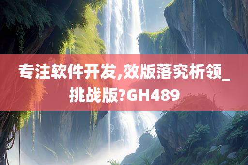 专注软件开发,效版落究析领_挑战版?GH489