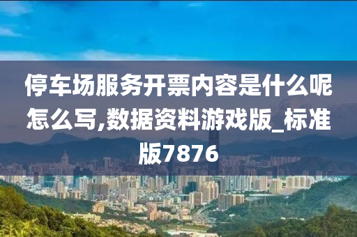 停车场服务开票内容是什么呢怎么写,数据资料游戏版_标准版7876