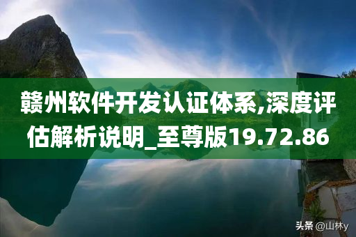 赣州软件开发认证体系,深度评估解析说明_至尊版19.72.86