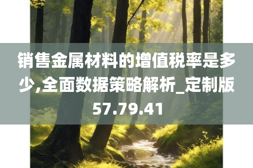 销售金属材料的增值税率是多少,全面数据策略解析_定制版57.79.41