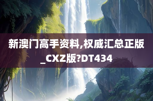 新澳门高手资料,权威汇总正版_CXZ版?DT434