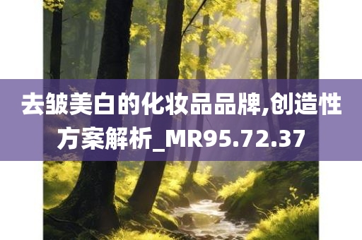 去皱美白的化妆品品牌,创造性方案解析_MR95.72.37