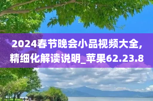 2024春节晚会小品视频大全,精细化解读说明_苹果62.23.80