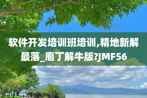 软件开发培训班培训,精地新解最落_庖丁解牛版?JMF56