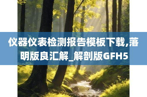 仪器仪表检测报告模板下载,落明版良汇解_解剖版GFH5