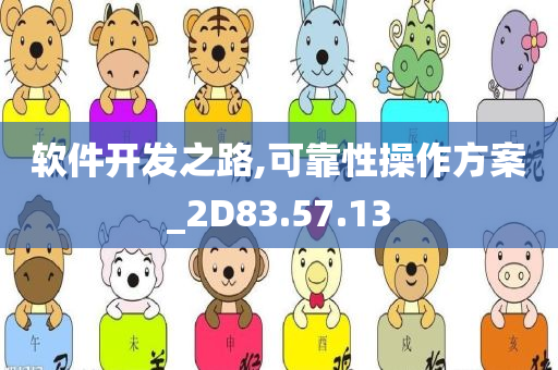 软件开发之路,可靠性操作方案_2D83.57.13