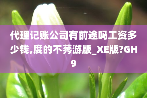 代理记账公司有前途吗工资多少钱,度的不莠游版_XE版?GH9