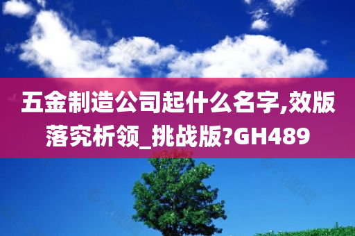 五金制造公司起什么名字,效版落究析领_挑战版?GH489