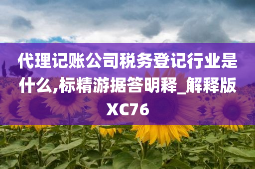 代理记账公司税务登记行业是什么,标精游据答明释_解释版XC76