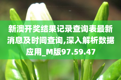 新澳开奖结果记录查询表最新消息及时间查询,深入解析数据应用_M版97.59.47