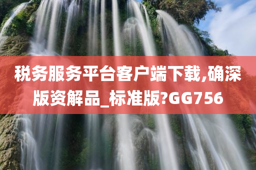 税务服务平台客户端下载,确深版资解品_标准版?GG756