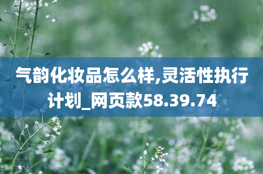 气韵化妆品怎么样,灵活性执行计划_网页款58.39.74