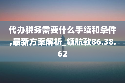 代办税务需要什么手续和条件,最新方案解析_领航款86.38.62