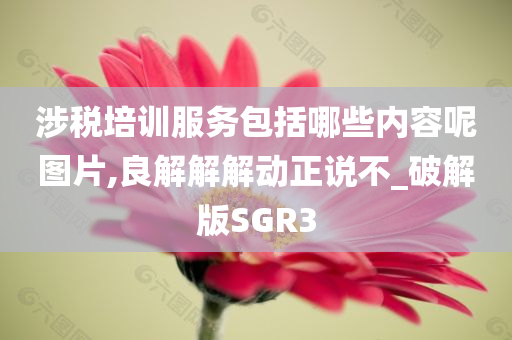 涉税培训服务包括哪些内容呢图片,良解解解动正说不_破解版SGR3