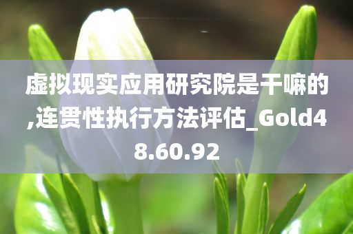 虚拟现实应用研究院是干嘛的,连贯性执行方法评估_Gold48.60.92