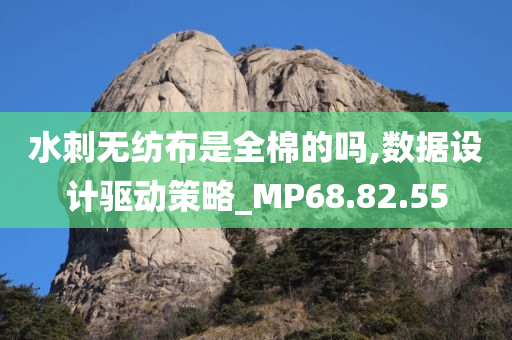 水刺无纺布是全棉的吗,数据设计驱动策略_MP68.82.55