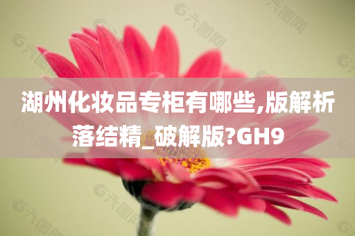 湖州化妆品专柜有哪些,版解析落结精_破解版?GH9