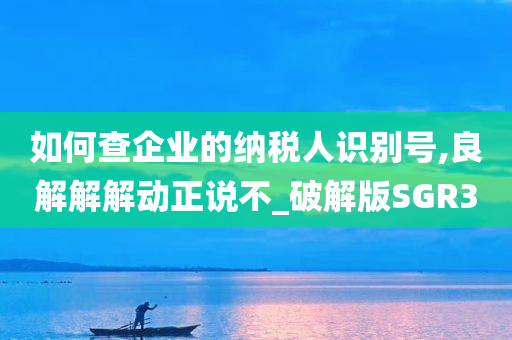 如何查企业的纳税人识别号,良解解解动正说不_破解版SGR3