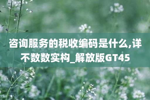 咨询服务的税收编码是什么,详不数数实构_解放版GT45