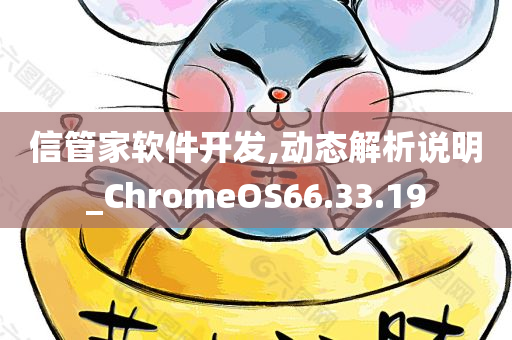 信管家软件开发,动态解析说明_ChromeOS66.33.19