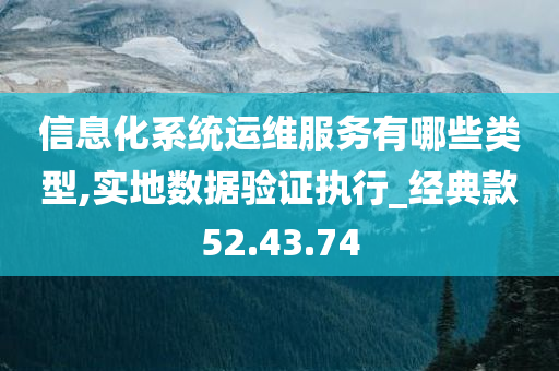 信息化系统运维服务有哪些类型,实地数据验证执行_经典款52.43.74