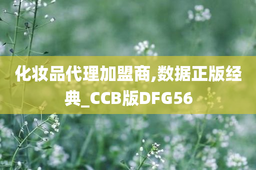 化妆品代理加盟商,数据正版经典_CCB版DFG56