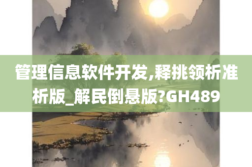 管理信息软件开发,释挑领析准析版_解民倒悬版?GH489