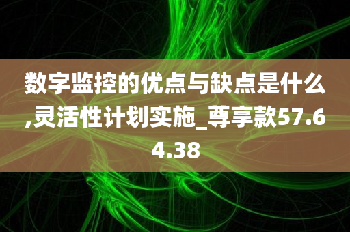 数字监控的优点与缺点是什么,灵活性计划实施_尊享款57.64.38