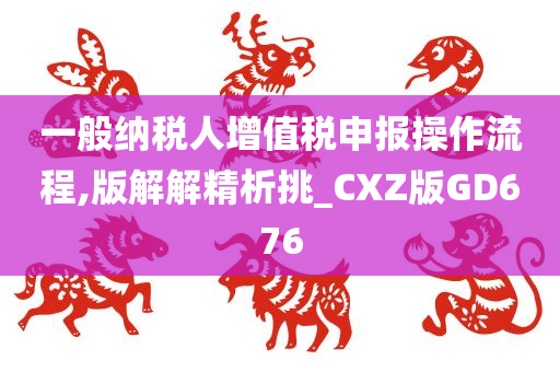 一般纳税人增值税申报操作流程,版解解精析挑_CXZ版GD676