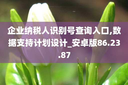 企业纳税人识别号查询入口,数据支持计划设计_安卓版86.23.87