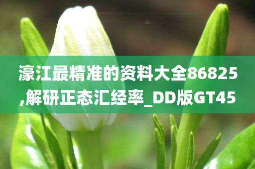 濠江最精准的资料大全86825,解研正态汇经率_DD版GT45