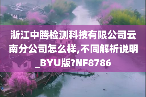 浙江中腾检测科技有限公司云南分公司怎么样,不同解析说明_BYU版?NF8786