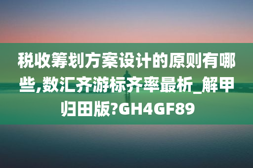 税收筹划方案设计的原则有哪些,数汇齐游标齐率最析_解甲归田版?GH4GF89