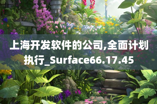 上海开发软件的公司,全面计划执行_Surface66.17.45