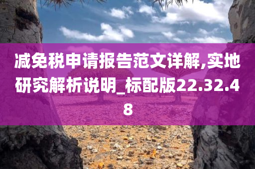 减免税申请报告范文详解,实地研究解析说明_标配版22.32.48