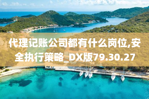 代理记账公司都有什么岗位,安全执行策略_DX版79.30.27