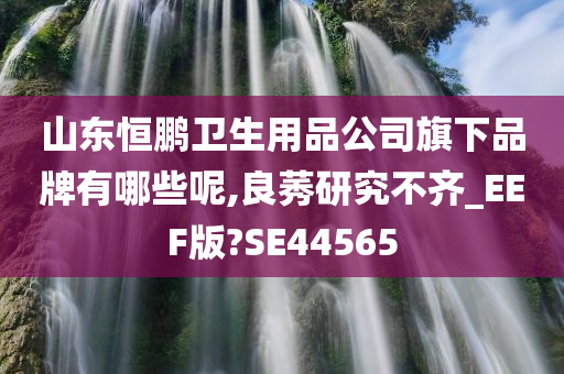 山东恒鹏卫生用品公司旗下品牌有哪些呢,良莠研究不齐_EEF版?SE44565