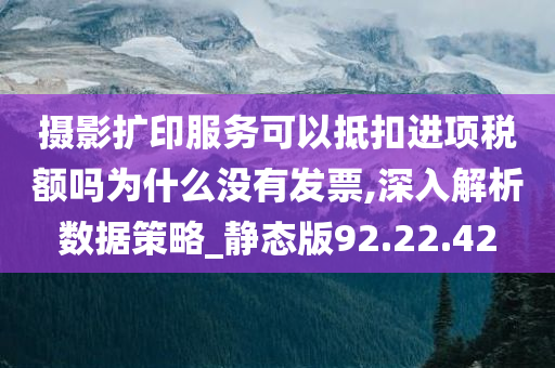 摄影扩印服务可以抵扣进项税额吗为什么没有发票,深入解析数据策略_静态版92.22.42