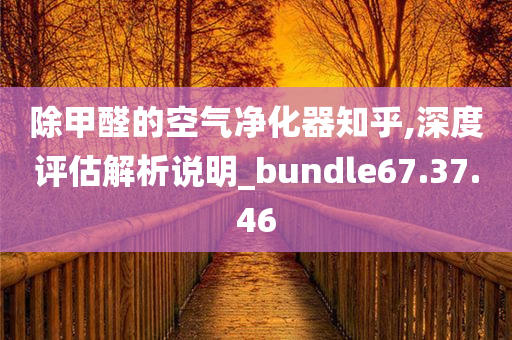 除甲醛的空气净化器知乎,深度评估解析说明_bundle67.37.46